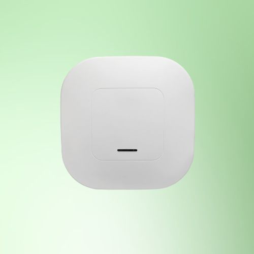 Access Point